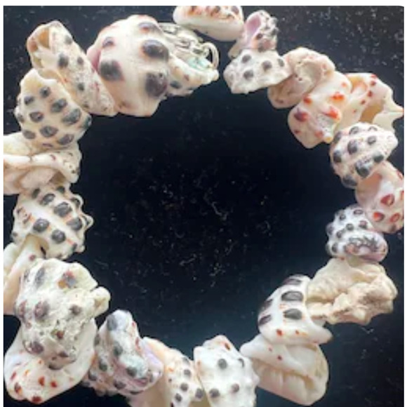 Hawaiian Chuncky Jingle Shell Bracelet - Picture 1 of 2